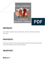 O Povo Brasileiro e A Questão Dos Negros e Índios