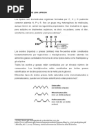 Lipidos 2