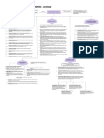 Mapa Conceptual Indicadores