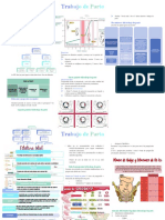 Trabajo de Parto