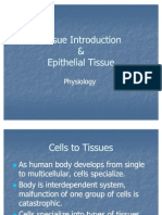 Epithelial Tissue