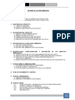 Informe de Gestion Ambiental Expediente