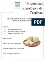 Reporte Escrito QUESO PANELA