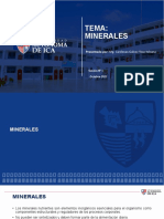 Mineral Es