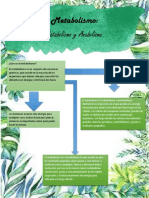 2IM7 Calleja Jimenez Fernando Yahir Metabolismoysusfases