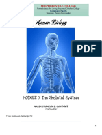 Module-5-The Skeletal System