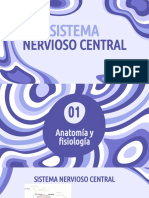 Sistema Nervioso Central