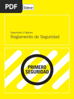 Reglamento Seguridad Ternium