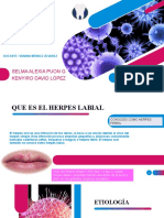 Herpes Labial2