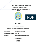 2022 - B - Sílabo - Seguridad Laboral