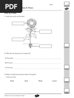 Science Assessment Grade 3 Plants (Twinkl)