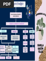 MAPA CONCEPTUAL Convergencia Tecnologica