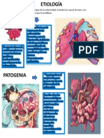 Etiologia y Patogenia