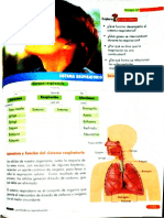 Sistema Respiratorio