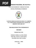 TESIS Microcomercialización de Drogas en El Distrito de Manantay - UNU