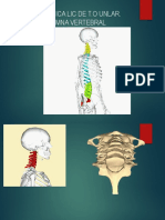 Biomecanica de Columna Vertebral