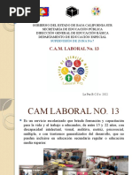 Presentacion CAM LABORAL 2022