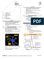 Phys - 1S04 - Synapse