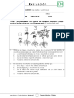 3basico - Evaluacion N5 Ciencias - Clase 2 Semana 25 - 2S