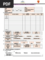 Ficha Diagnostica Socioeafectiva Original