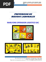 Prevencion de Riesgos Laborales