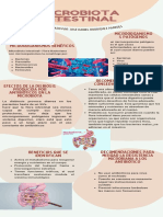 Microbiota Intestinal