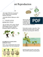 Plant Reproduction