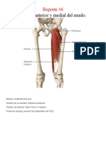 Reporte 6 Anatomia General