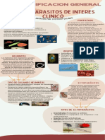 Infografica de Parasitologia