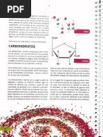 Biologia Parte 3