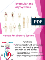 Cardiovascular and Respiratory System