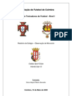 Relatório Observação Microciclo