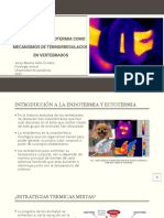 Endotermia y Ectotermia Como Mecanismos de Termorregulacion en