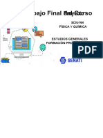 Sciu Sciu-164 Trabajo Final.f.q, Resuelto