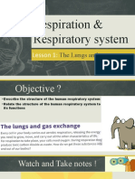 Lungs and Gas Exchange - Lesson 1 - Grade 8