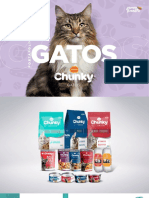 Portafolio Gatos