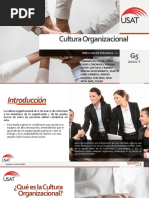 Cultura Organizacional - Estudiar