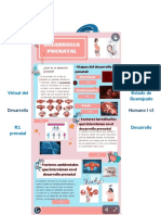 Reto 2 Desarrollo Prenatal