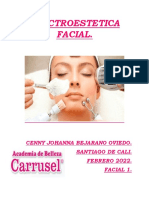 Electroestetica Facial