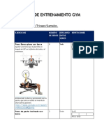 Plan de Entrenamiento Gym - Pedro Bahamondes