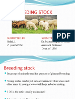 Breeding Stock (DR Reddy)