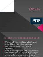 SPINOZA CV