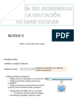 PDF Power Point 2 Desarrollo Fisico y Motor