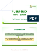 Puerpério: Teoria - Parte I