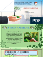 Gestión Ambiental