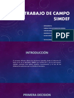 Trabajo de Campo Simdef