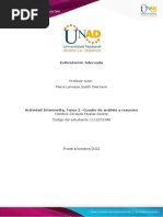 Anexo 2-Cuadro de Análisis y Resumen