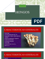 Hongos