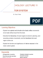 CogBio - Lecture 11 - Motor System - Student - PDT