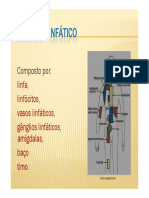 Sistema Linfático